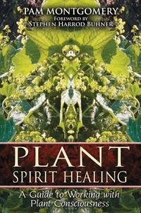 Plant Spirit Healing (h�ftad)