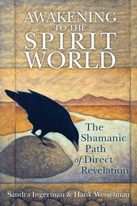 Awakening to the Spirit World ()