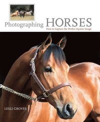Photographing Horses (inbunden)