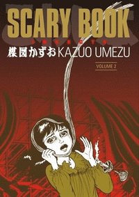Insects: v. 2 Scary Book (h�ftad)