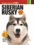 Siberian Husky