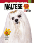 Maltese