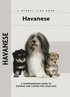 Havanese - A Comprehensive Guide to Owning and Caring for Your Dog