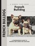 French Bulldogs
