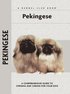 Pekingese - A Comprehensive Guide to Owning and Caring for Your Dog
