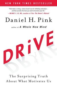 Drive: The Surprising Truth about What Motivates Us (inbunden)