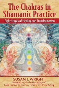 The Chakras in Shamanic Practice (inbunden)