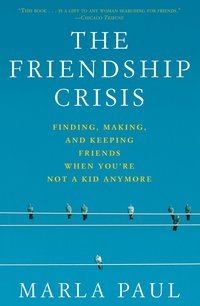 The Friendship Crisis (h�ftad)