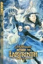 Return to Labyrinth: v. 3 (h�ftad)