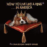 How to Live Like a King.in America (inbunden)