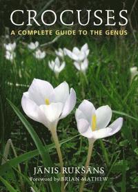 Crocuses (inbunden)