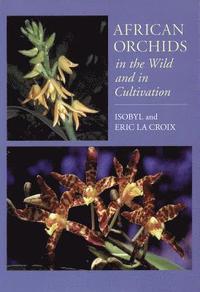 African Orchids in the Wild and in Cultivation (inbunden)