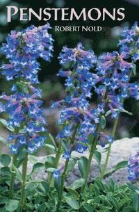 Penstemons (h�ftad)