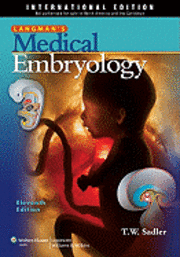 Langman's Medical Embryology (h�ftad)