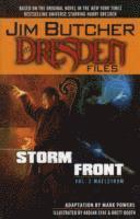 Jim Butcher's the Dresden Files: v. 2 Storm Front - Maelstrom (inbunden)
