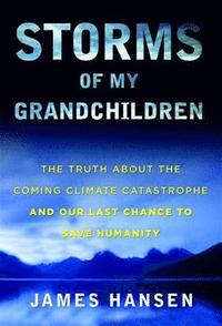 Storms of My Grandchildren: The Truth about the Coming Climate Catastrophe and Our Last Chance to Save Humanity (h�ftad)