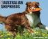 Just Australian Shepherds 18-Month Calendar