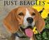 Just Beagles 18-Month Calendar