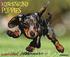 Just Dachshund Puppies 18-Month Calendar