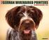 German Wirehaired Pointers 18-Month Calendar