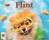 Adventures with Flint the Fabulous Pomeranian Calendar