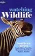 Watching Wildlife