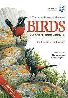 Sasol Larger Illustrated Guide To Birds Of Southern Africa (h�ftad)
