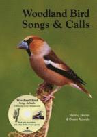 Bird Songs of Forest (inbunden)