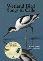 Birds Songs of Wetlands (inbunden)