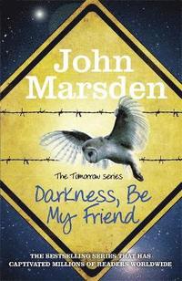 Darkness Be My Friend (h�ftad)