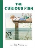 The Curious Fish