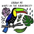 Colour Me: Whos in the Rainforest?: Volume 3