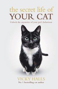 The Secret Life Of Your Cat