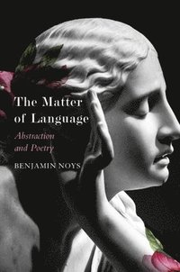 The Matter of Language  Abstraction and Poetry