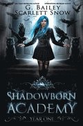 Shadowborn Academy