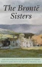 The Selected Works of the Bronte Sisters (h�ftad)
