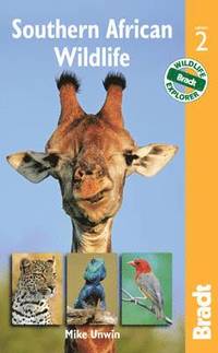 Southern African Wildlife (h�ftad)