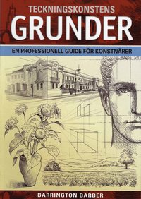 Teckningskonstens grunder : en professionell guide f�r konstn�rer