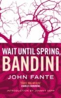 Wait Until Spring, Bandini (inbunden)