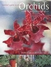 Gardener's Guide to Growing Orchids (h�ftad)
