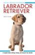 Labrador Retriever - A Complete Guide to Raising, Training and Caring for Your Labrador