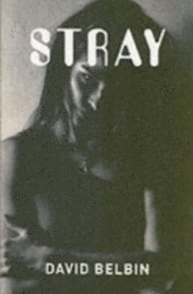 Stray (h�ftad)