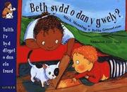 Beth Sydd O Dan Y Gwely? (Llyfr Mawr) (h�ftad)