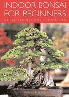 Indoor Bonsai for Beginners (h�ftad)