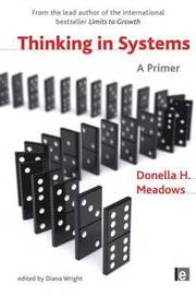 Thinking in Systems (h�ftad)