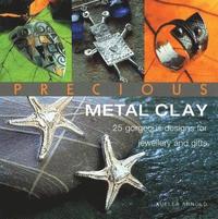 Precious Metal Clay (h�ftad)