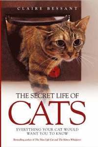 Secret Life Of Cats (inbunden)