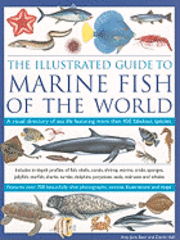Illustrated Guide To Marine Fish Of The World (h�ftad)