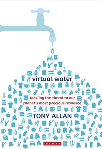 Virtual Water (kartonnage)