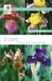 Irises (h�ftad)